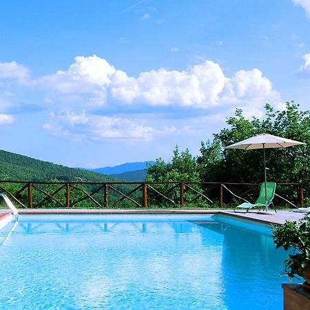Agriturismo Badia Ficarolo Palazzo del Pero Zewnętrze zdjęcie
