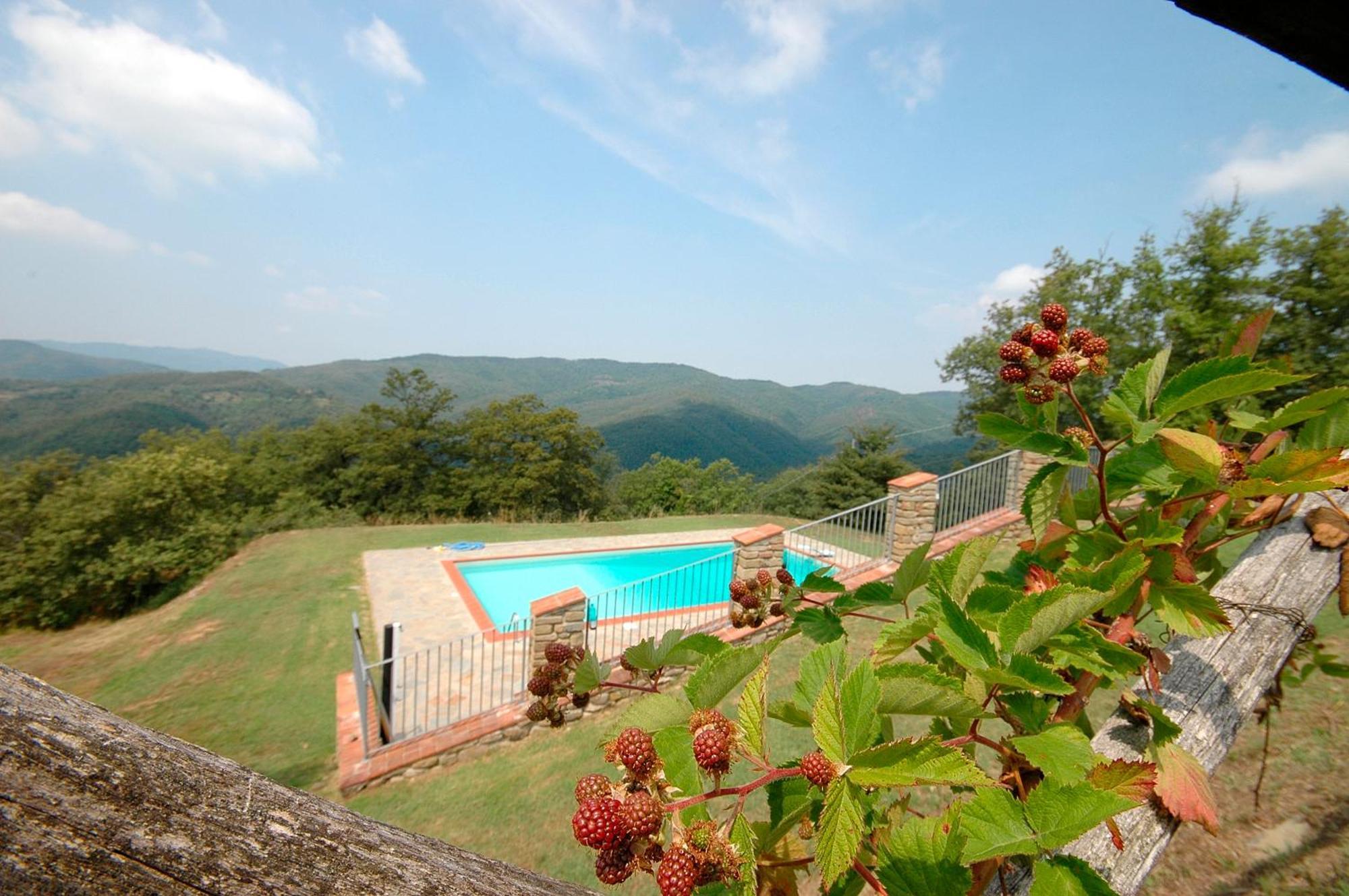 Agriturismo Badia Ficarolo Palazzo del Pero Zewnętrze zdjęcie