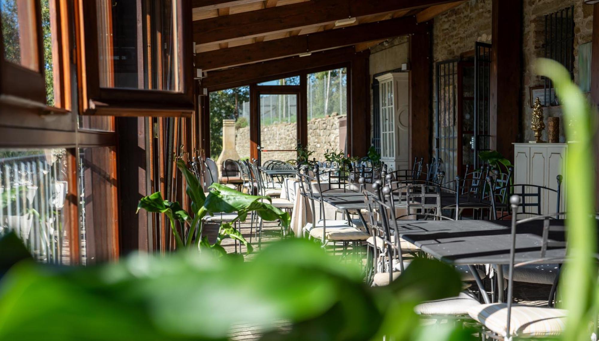 Agriturismo Badia Ficarolo Palazzo del Pero Zewnętrze zdjęcie