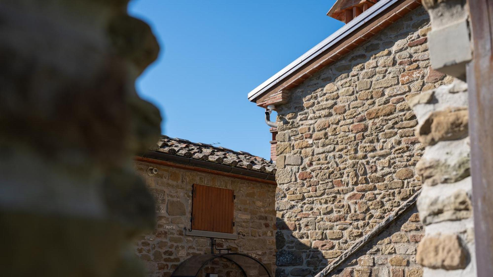 Agriturismo Badia Ficarolo Palazzo del Pero Zewnętrze zdjęcie