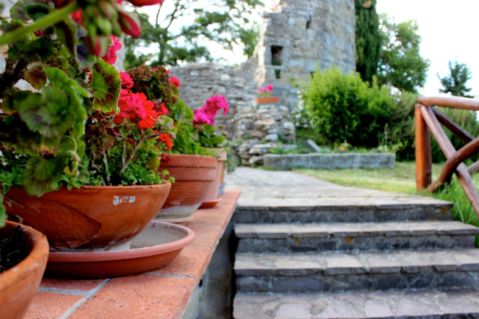Agriturismo Badia Ficarolo Palazzo del Pero Zewnętrze zdjęcie